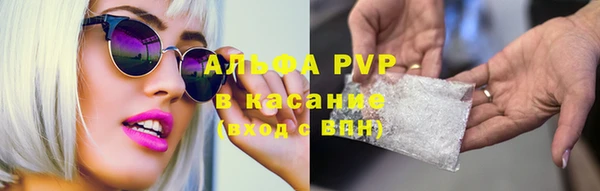 apvp Арсеньев
