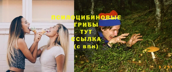 apvp Арсеньев