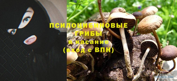 apvp Арсеньев