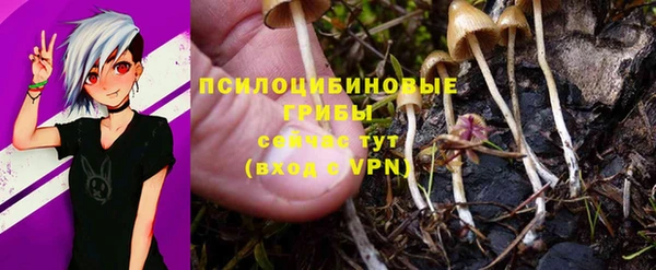 MESCALINE Армянск