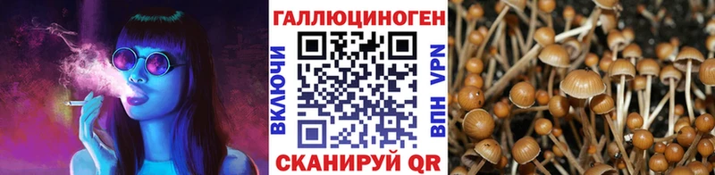 Галлюциногенные грибы прущие грибы  Суровикино 