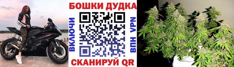 Бошки Шишки семена Суровикино